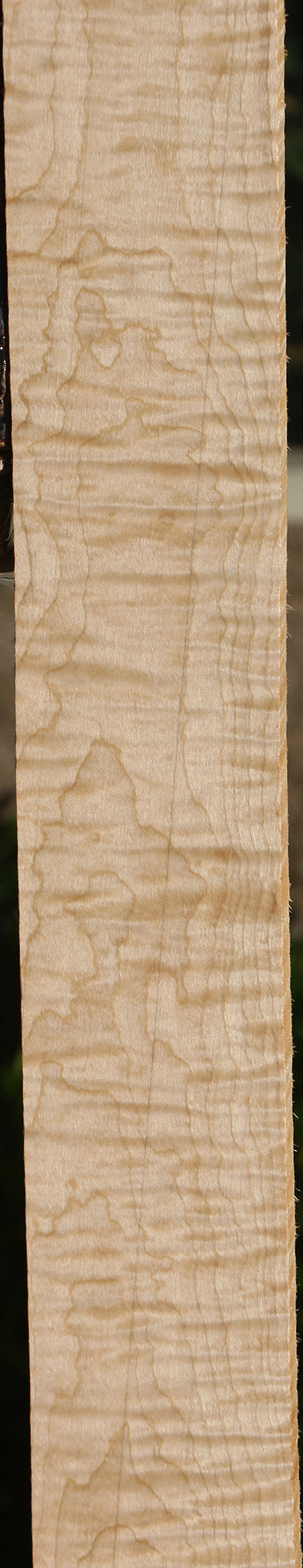 Extra Fancy Curly Eastern Red Maple Lumber