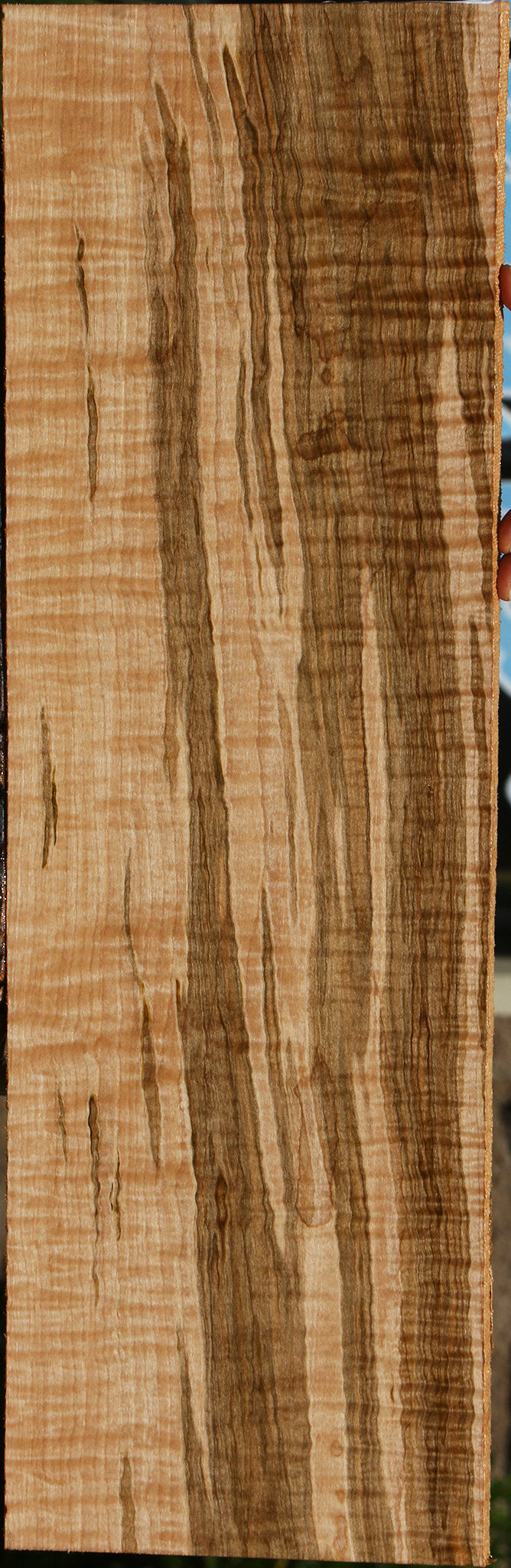 Extra Fancy Curly Ambrosia Maple Lumber