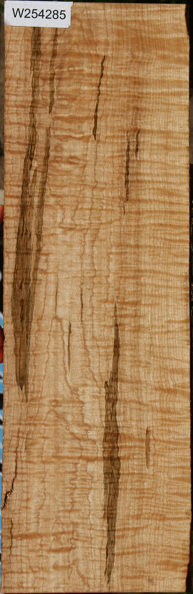 Extra Fancy Curly Ambrosia Maple Lumber
