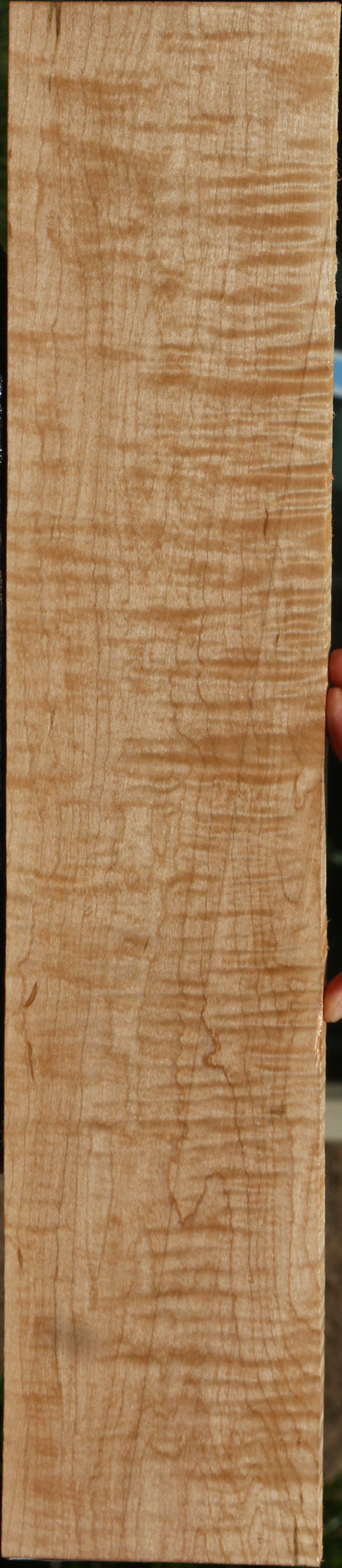 Extra Fancy Curly Eastern Red Maple Lumber