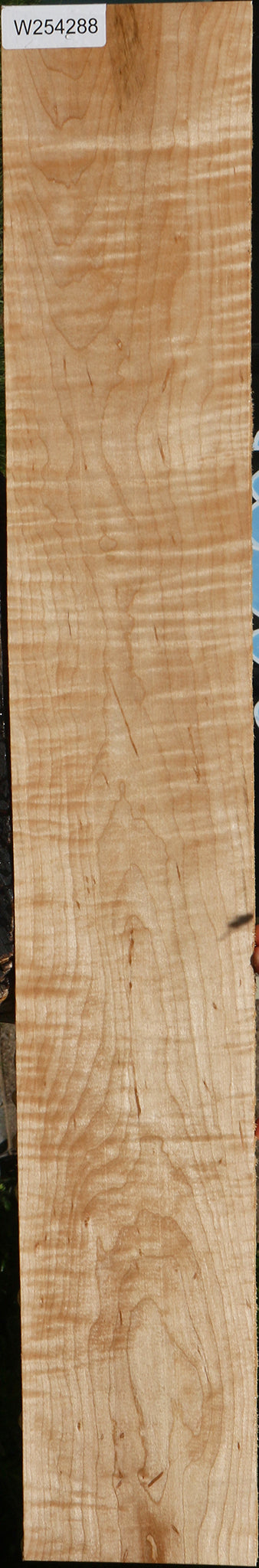 Extra Fancy Curly Eastern Red Maple Lumber