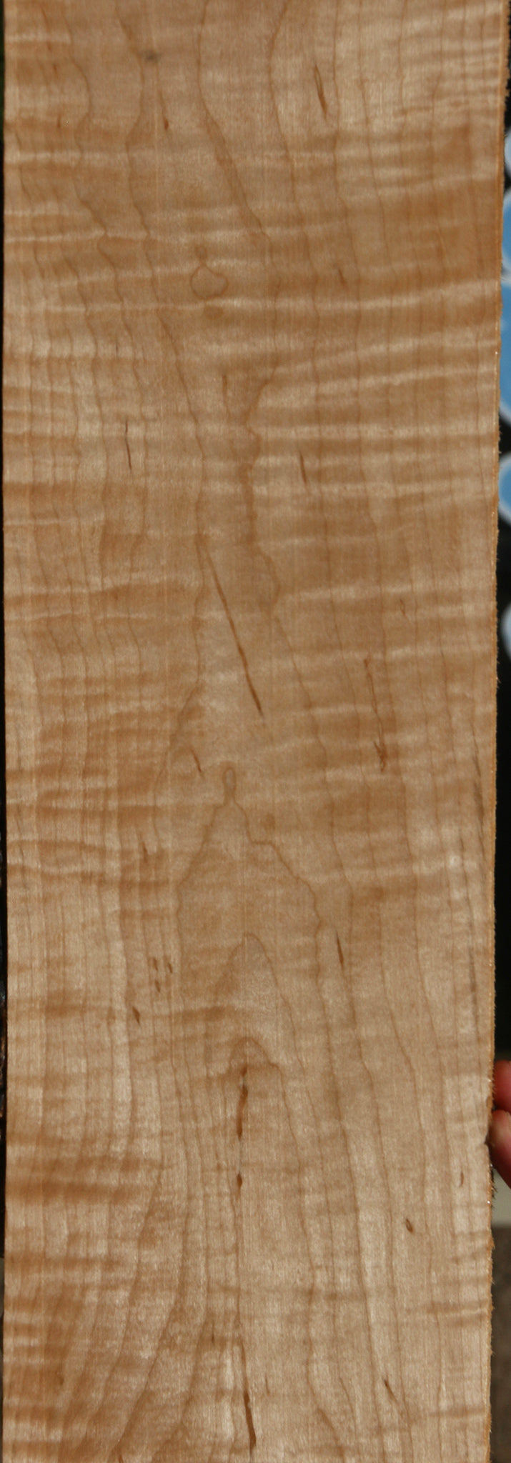 Extra Fancy Curly Eastern Red Maple Lumber
