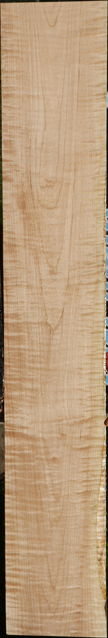 Extra Fancy Curly Eastern Red Maple Lumber