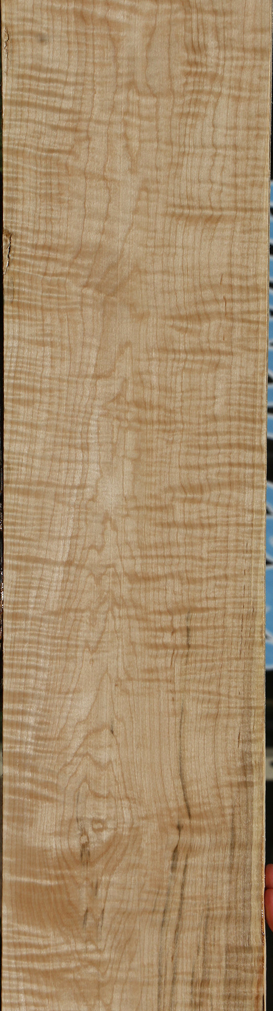 Extra Fancy Curly Eastern Red Maple Lumber