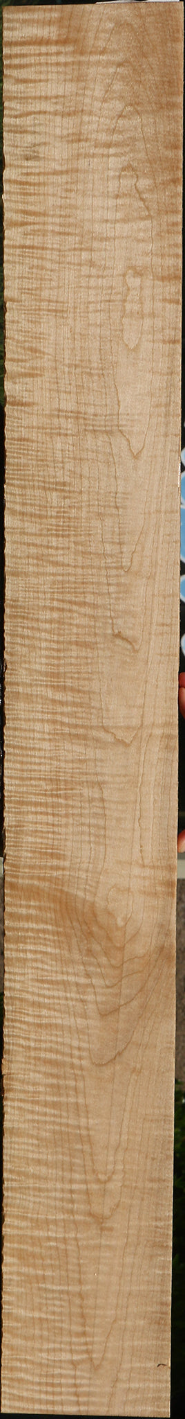 Extra Fancy Curly Eastern Red Maple Lumber