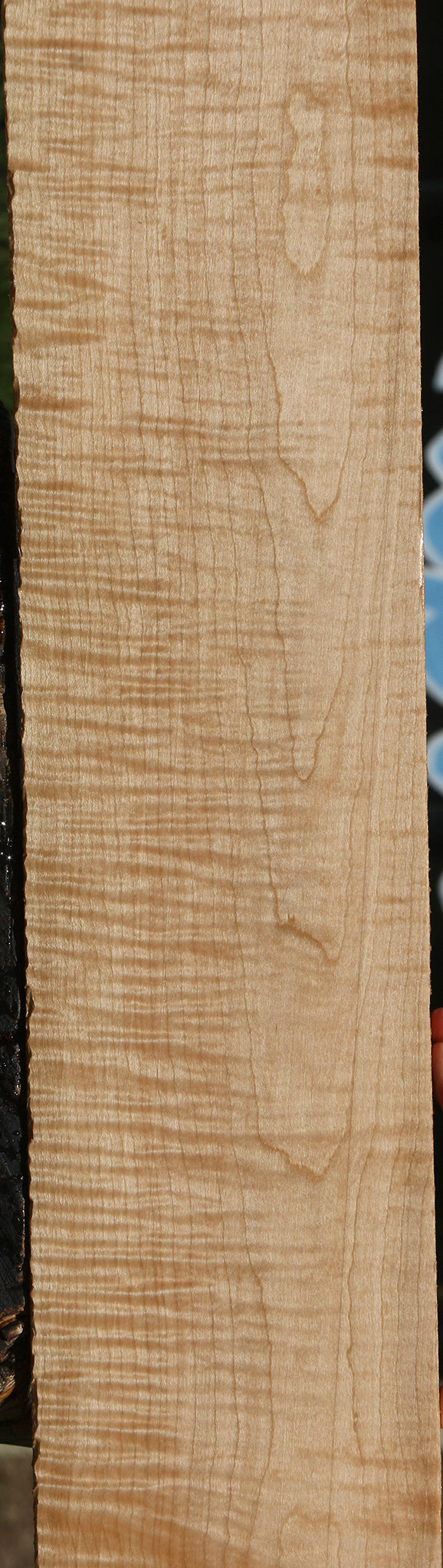 Extra Fancy Curly Eastern Red Maple Lumber
