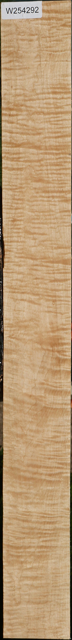 Extra Fancy Curly Eastern Red Maple Lumber