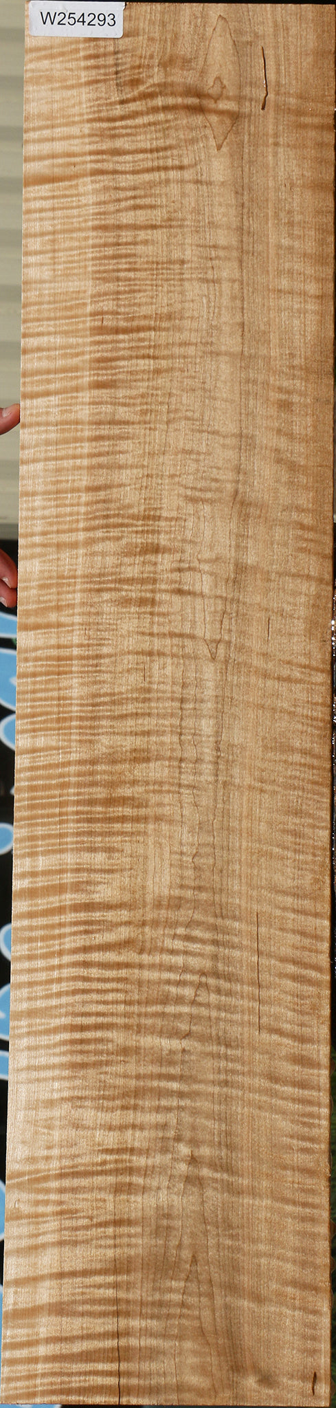 Extra Fancy Curly Eastern Red Maple Lumber