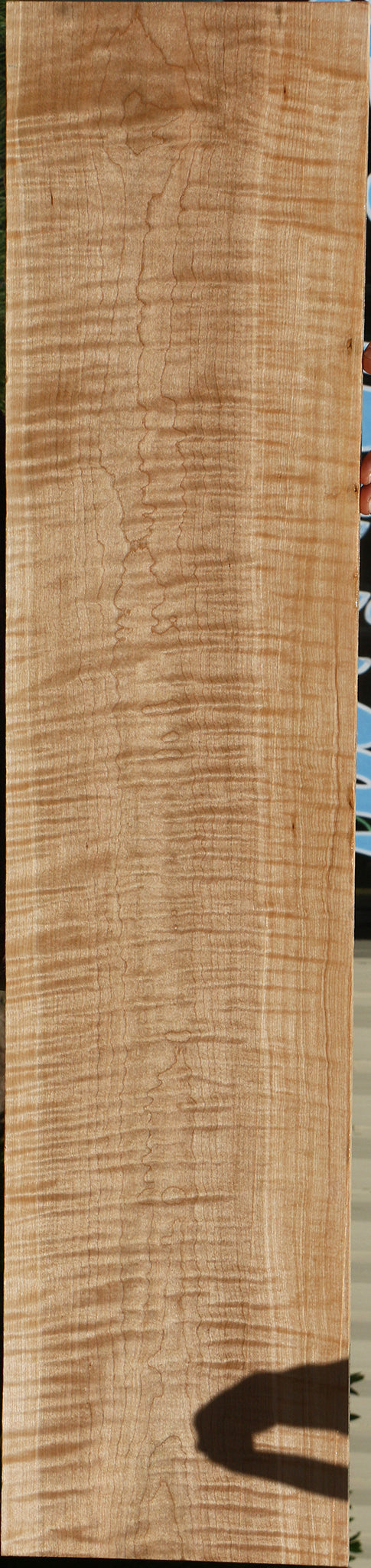 Extra Fancy Curly Eastern Red Maple Lumber