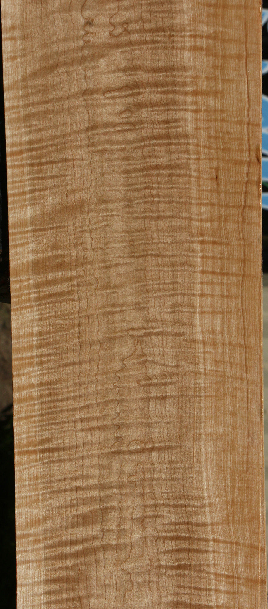 Extra Fancy Curly Eastern Red Maple Lumber