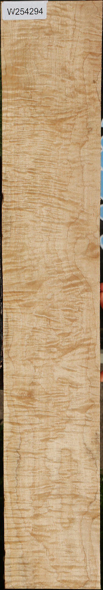 Extra Fancy Curly Eastern Red Maple Lumber