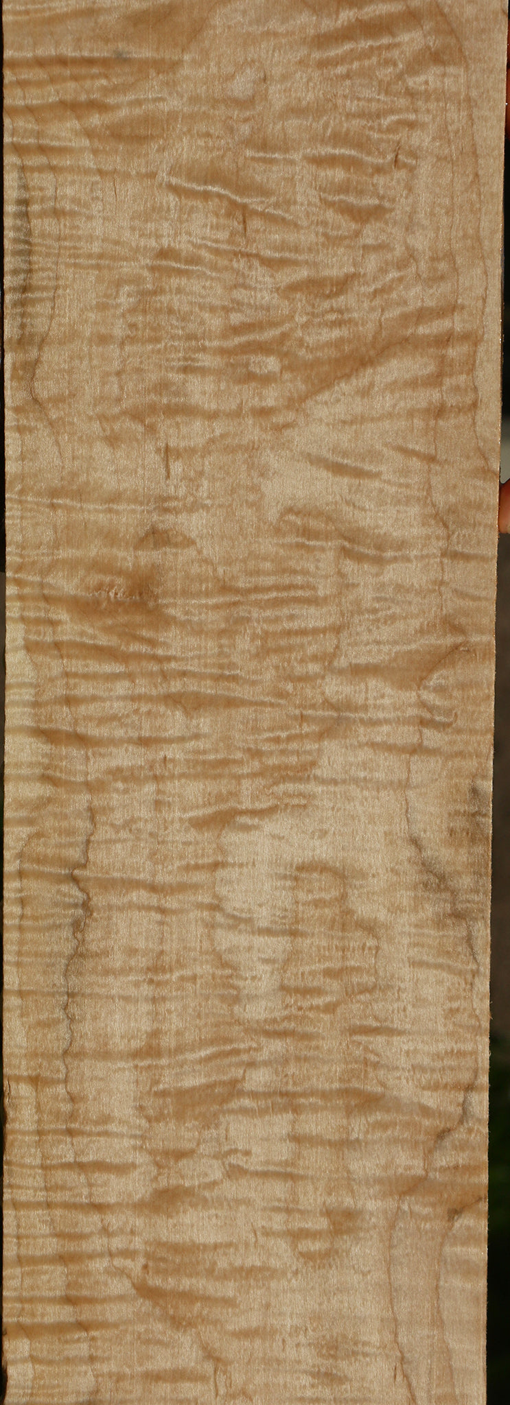 Extra Fancy Curly Eastern Red Maple Lumber