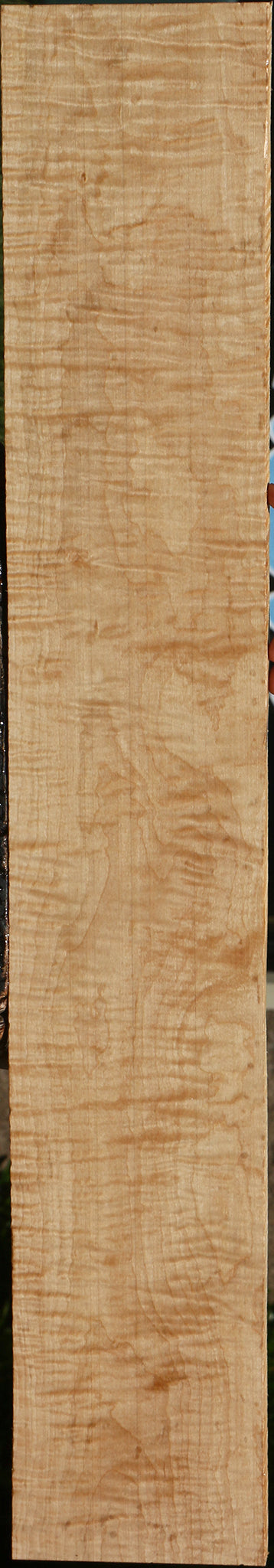 Extra Fancy Curly Eastern Red Maple Lumber