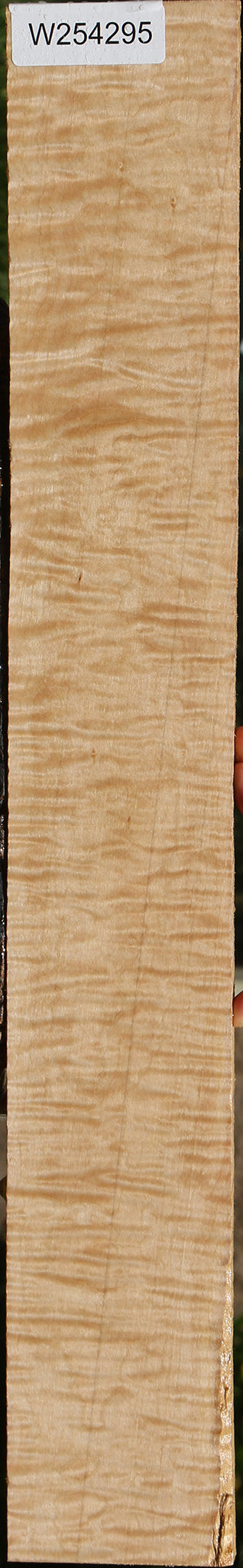 Extra Fancy Curly Eastern Red Maple Lumber