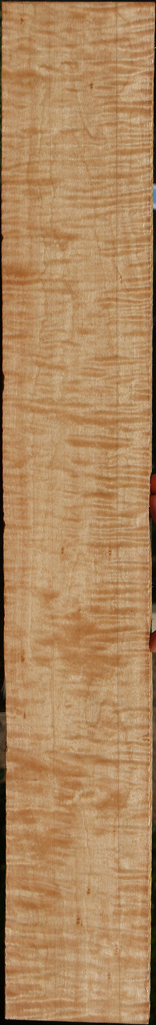 Extra Fancy Curly Eastern Red Maple Lumber