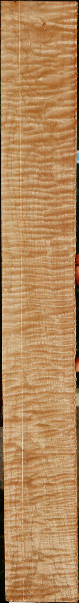 Exhibition Curly Eastern Red Maple Lumber