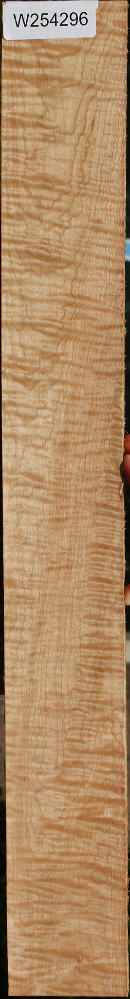 Exhibition Curly Eastern Red Maple Lumber