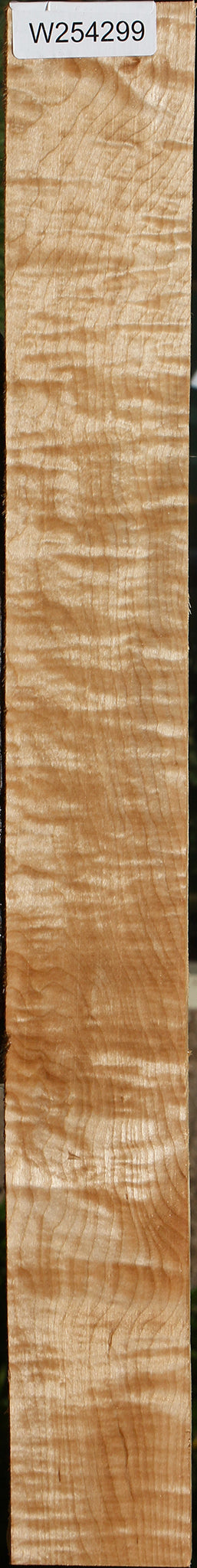 Extra Fancy Curly Eastern Red Maple Lumber