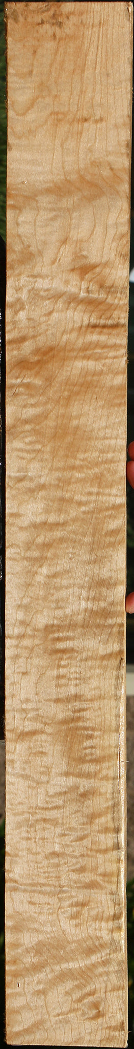 Extra Fancy Curly Eastern Red Maple Lumber