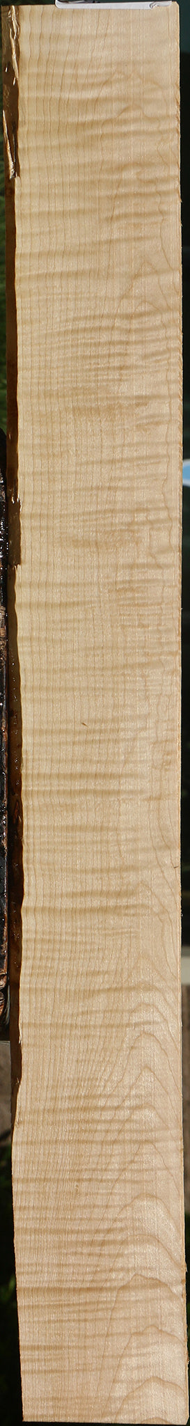Extra Fancy Curly Eastern Red Maple Lumber