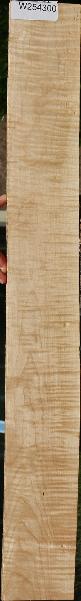 Extra Fancy Curly Eastern Red Maple Lumber