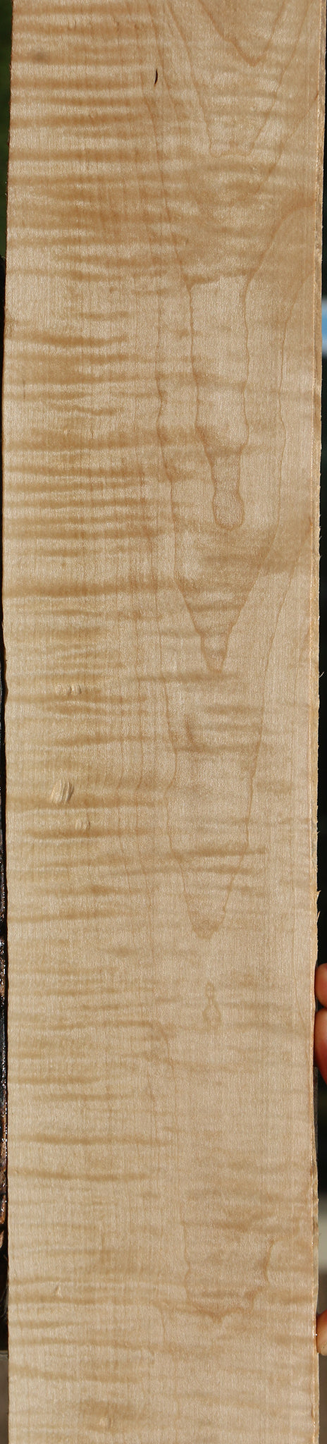 Extra Fancy Curly Eastern Red Maple Lumber