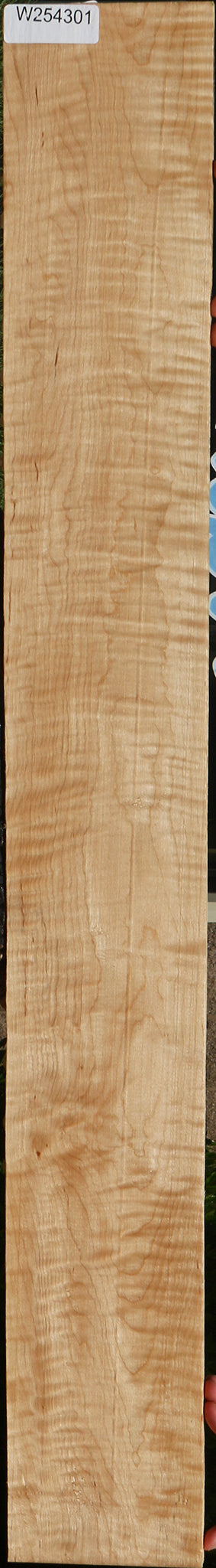 Extra Fancy Curly Eastern Red Maple Lumber