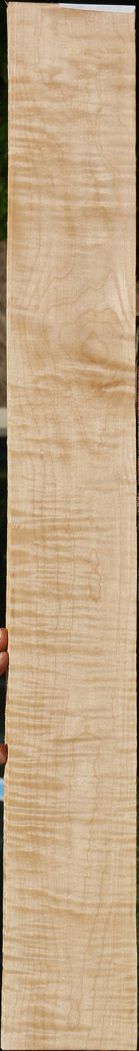Extra Fancy Curly Eastern Red Maple Lumber