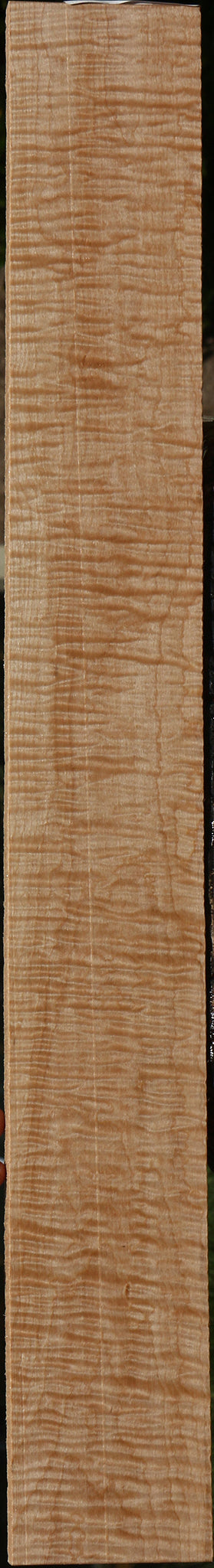 Extra Fancy Curly Eastern Red Maple Lumber
