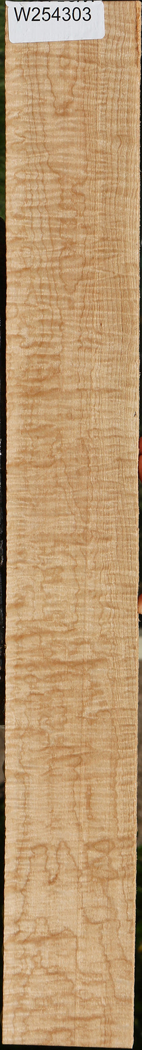 Extra Fancy Curly Eastern Red Maple Lumber