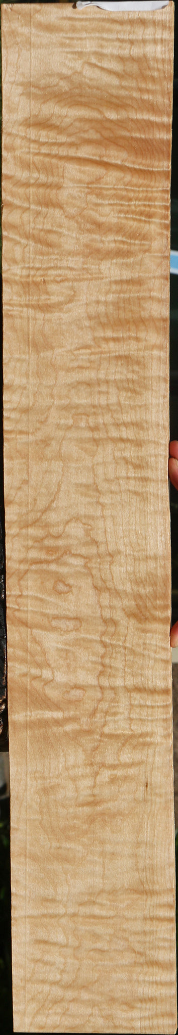 Extra Fancy Curly Eastern Red Maple Micro Lumber