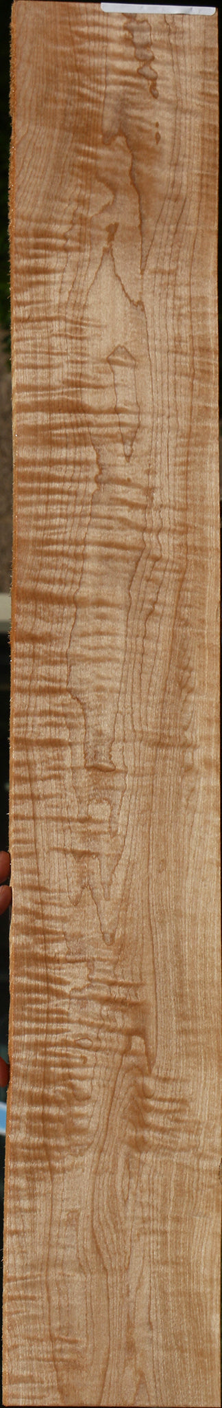 Extra Fancy Curly Eastern Red Maple Micro Lumber