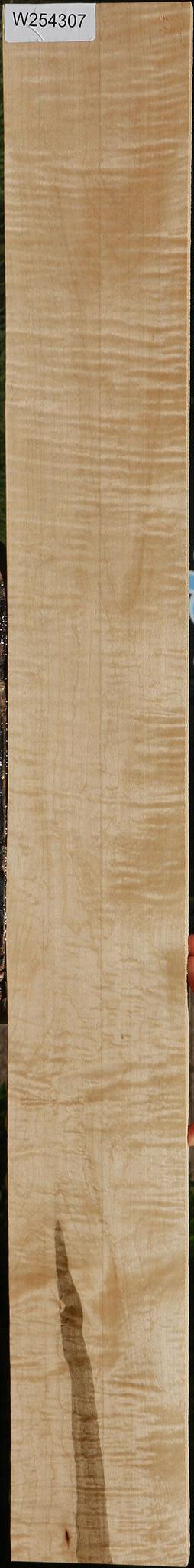 Extra Fancy Curly Ambrosia Maple Lumber