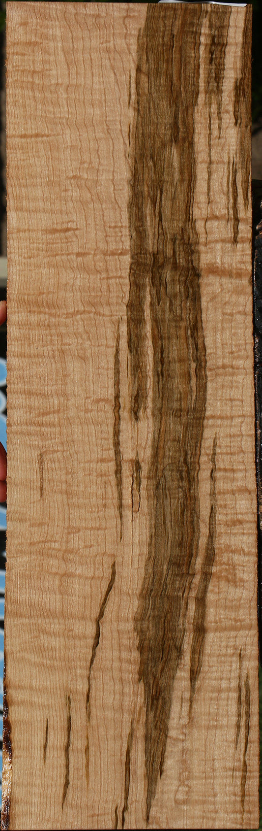Extra Fancy Curly Ambrosia Maple Lumber