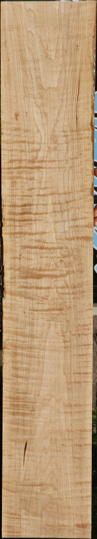 Extra Fancy Curly Eastern Red Maple Lumber