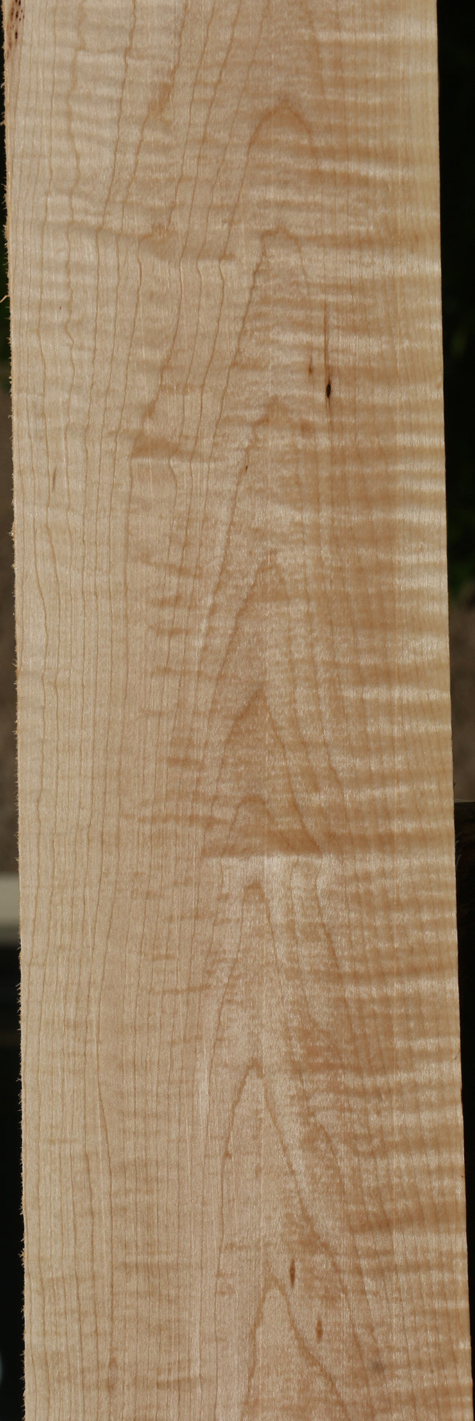 Figured Curly Eastern Red Maple Lumber