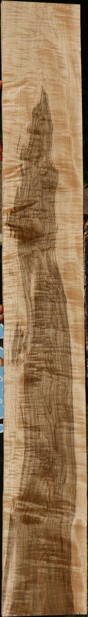 Extra Fancy Curly Eastern Red Maple Lumber