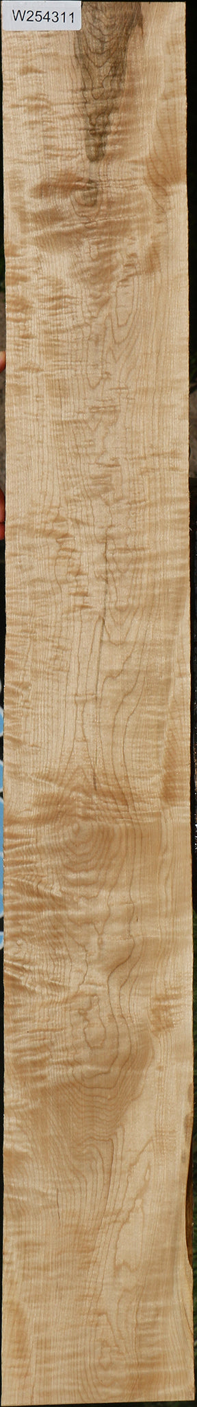Extra Fancy Curly Eastern Red Maple Lumber