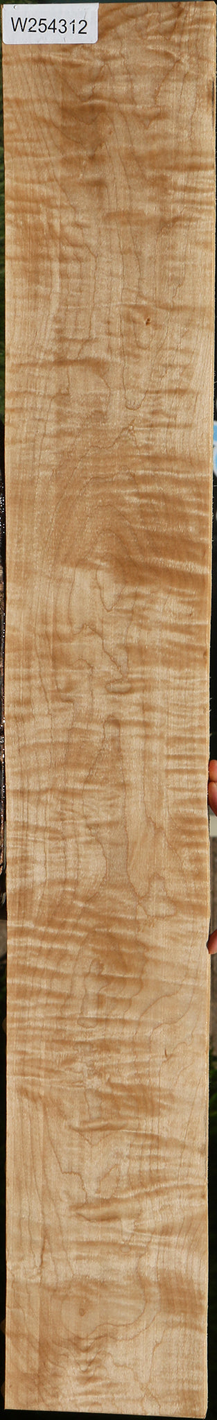 Extra Fancy Curly Eastern Red Maple Lumber