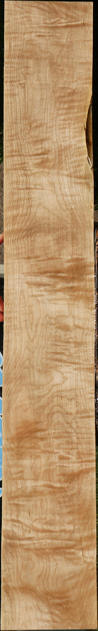 Extra Fancy Curly Eastern Red Maple Lumber