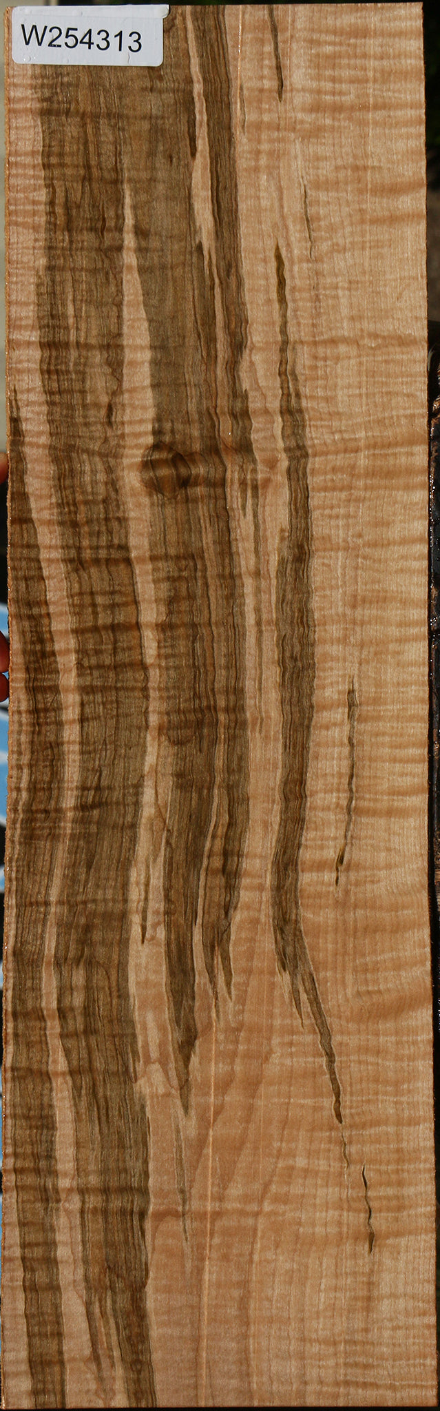 Extra Fancy Curly Ambrosia Maple Lumber