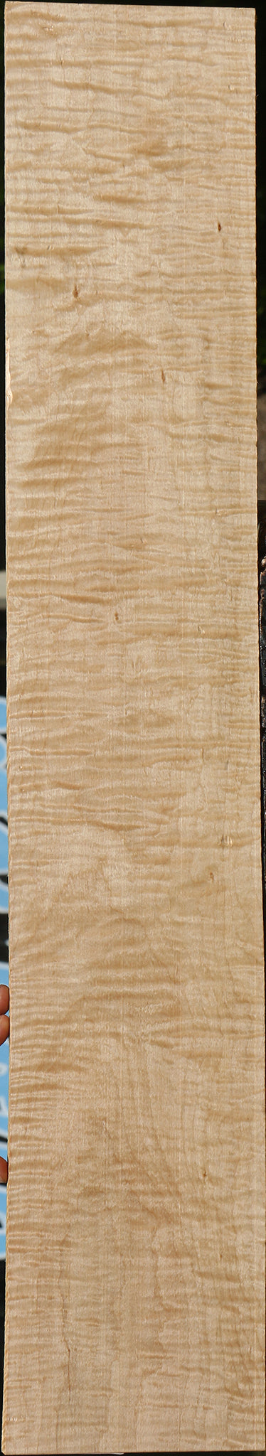 Figured Curly Eastern Red Maple Lumber