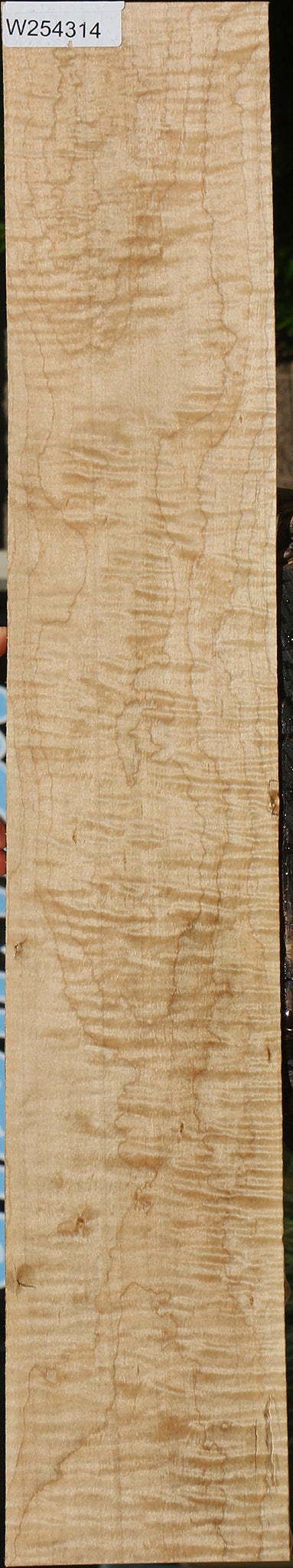 Figured Curly Eastern Red Maple Lumber