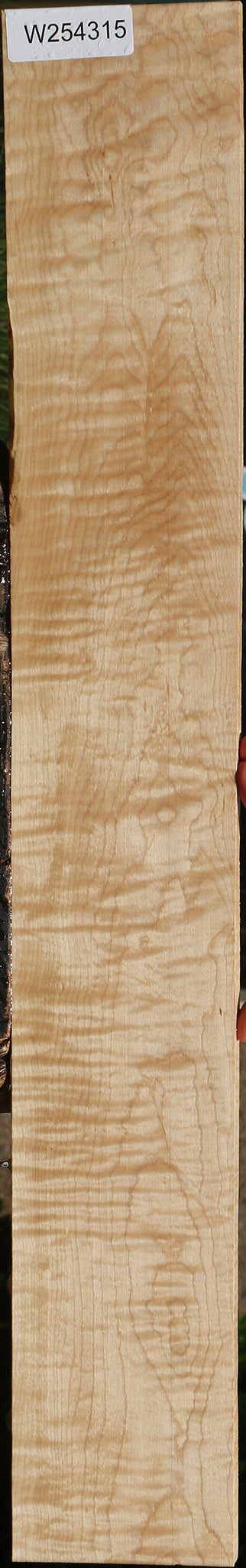 Figured Curly Eastern Red Maple Lumber