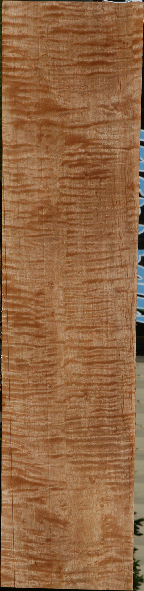 Extra Fancy Curly Eastern Red Maple Lumber