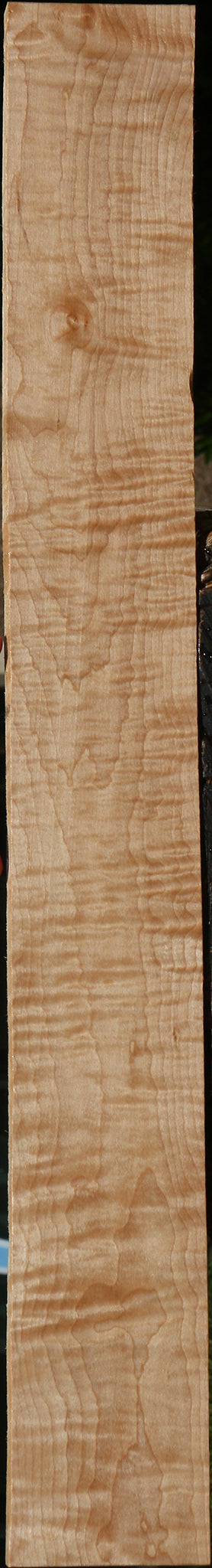 Extra Fancy Curly Eastern Red Maple Lumber