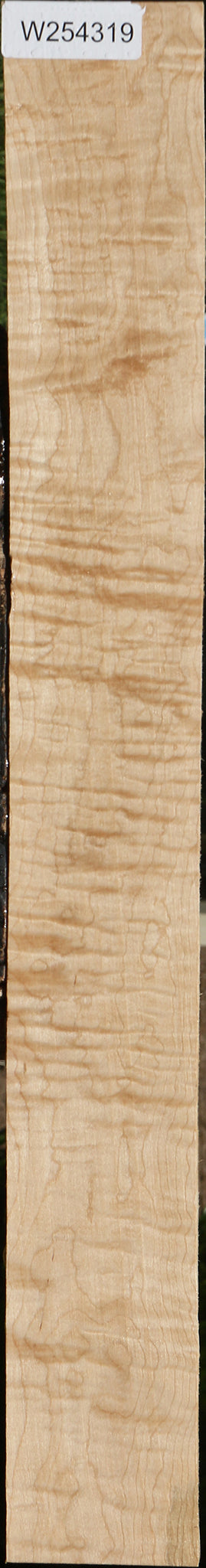 Extra Fancy Curly Eastern Red Maple Lumber