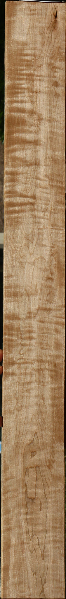 Figured Curly Eastern Red Maple Micro Lumber