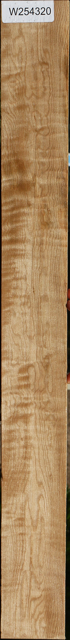Figured Curly Eastern Red Maple Micro Lumber