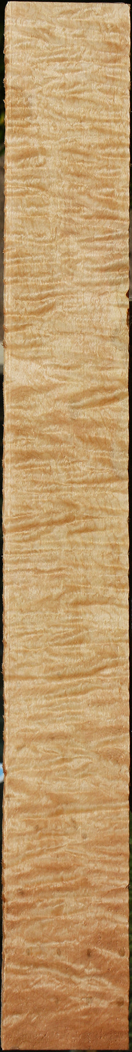 Extra Fancy Curly Eastern Red Maple Lumber